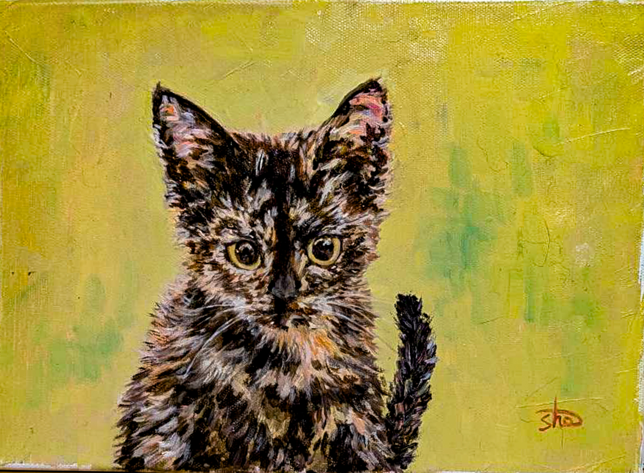 子猫